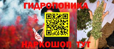 твердый Пушкино
