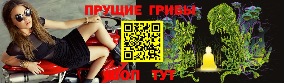 что такое   Вход с VPN  Северобайкальск  Галлюциногенные грибы Psilocybe 
