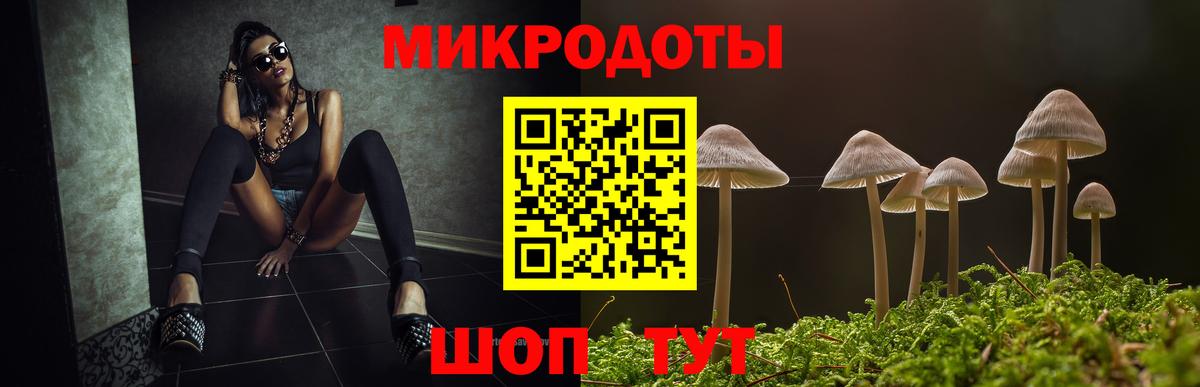Галлюциногенные грибы MAGIC MUSHROOMS Северобайкальск