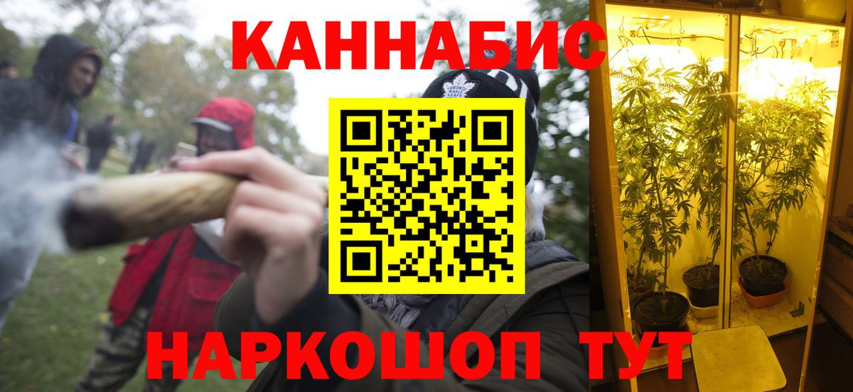 Каннабис OG Kush Северобайкальск